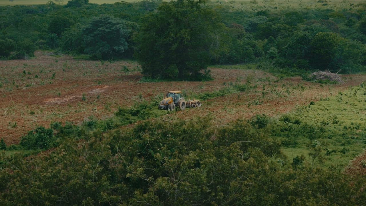 Fazenda Curral Velho — Nossa Valtra